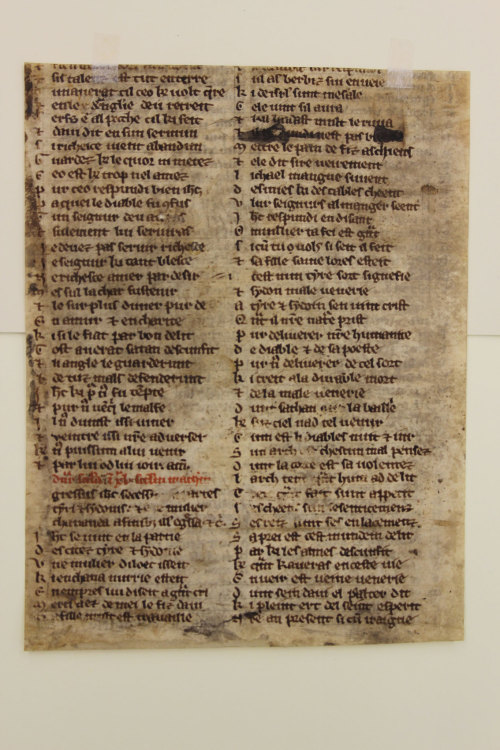 muspeccoll: Manuscript Monday For this week’s Manuscript Monday we have an example of Anglo-No