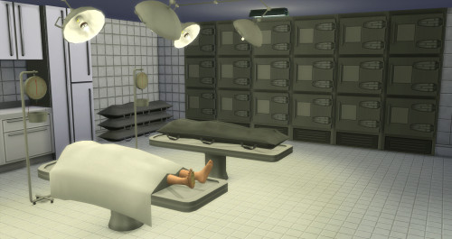 SimMeFo MOD (Sims Medical Forensics)Hello. I have finished this 1st version of a CSI related MOD. Wi