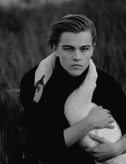 leonardo dicaprio photographed by annie leibowitz, 1997