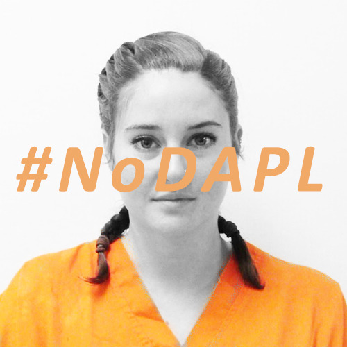 On #IndigenousPeoplesDay Shailene Woodley was arrested for protesting AGAINST the pipeline being bui