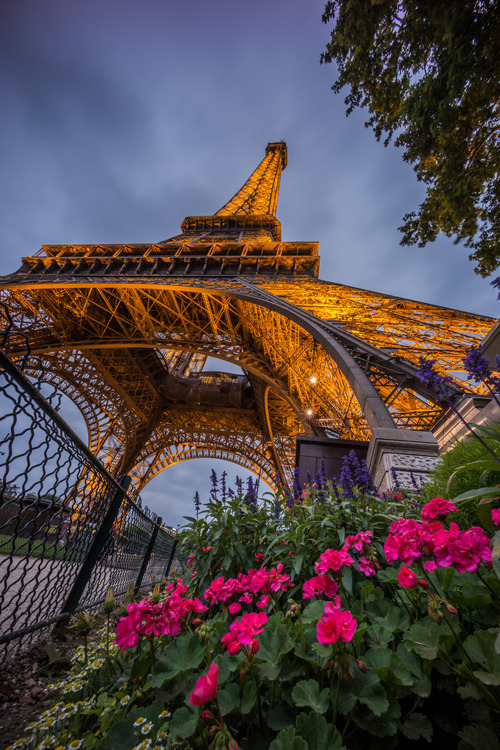 plasmatics-life:  Eiffel in the Summer by Tristan O'Tierney | (Website) 