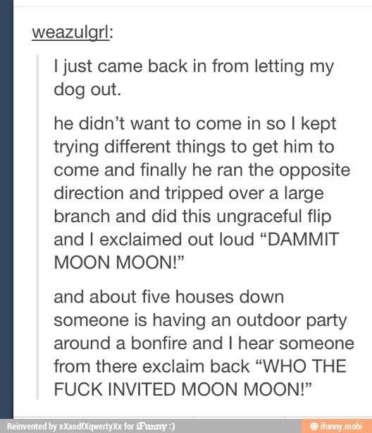 best-of-funny:  mishaswrath:  mspbandj:  alliejunestewart:  Moon Moon.  I miss Moon