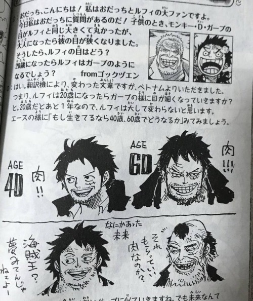inactivenobody: Eiichiro Oda draws Ace &amp; Luffy at age 40-60 and alternate universe of them i