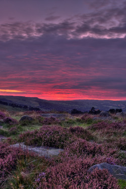 brutalgeneration:  Ilkley Moor at Dusk (by James Whitesmith) 