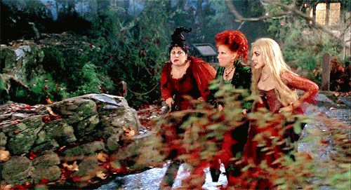 scottstiles:Witch hunters. Observe. They wear black robes and carry axes to chop the wood to burn us