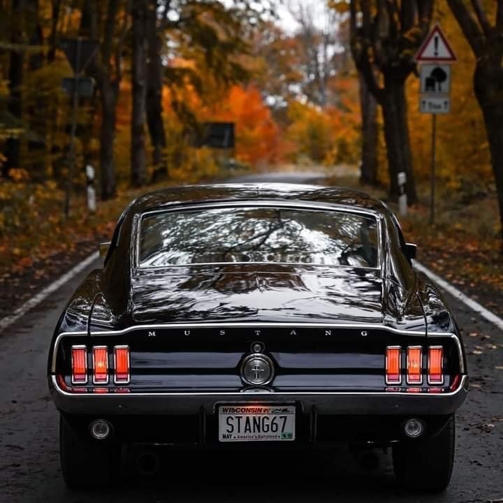musclecars4ever