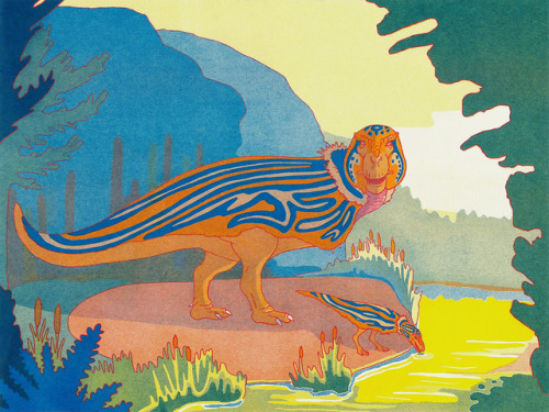 pangur-and-grim:pangur-and-grim:pangur-and-grim:(FINALLY got the spino scanned!)presenting three pre