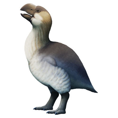 Brontornis burmeisteri was one of the largest flightless birds known to have ever existed, standing 