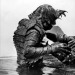 manywinged:manywinged:manywinged:the gillman from creature from the black lagoon