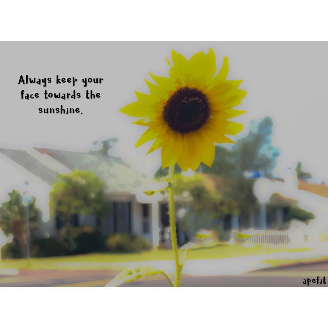 Get Apefit With April Quotes Sunflower Sunshine