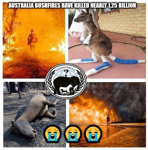 #PrayForAustralia #AustraliaBushfireDisaster #Anonymous #opBeast