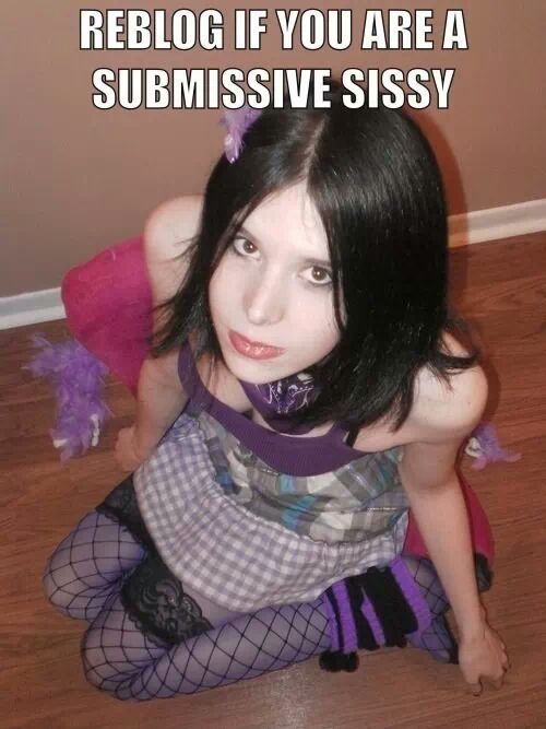 girly-slutboi:  If by “submissive sissy” you mean “cum-loving, eager, desperate, subservient little 