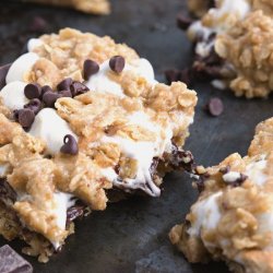 foodsforus:Oatmeal Cookie S’mores Gooey