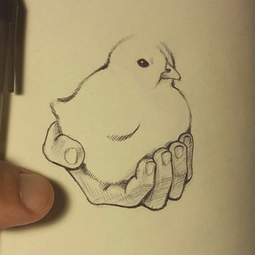 FEATHERED FRIDAY: Inktober on Twitter!Hey folks, Paul here with a Friday post! Couple quick things:I