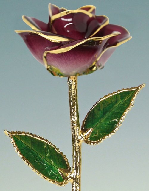 sosuperawesome: Real Preserved Roses Trimmed with Gold / Dipped in GoldLiving Gold Co on EtsySee our