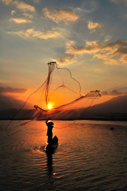 wowtastic-nature: Dusk Crawler by  Petrus Arif on 500px.com 