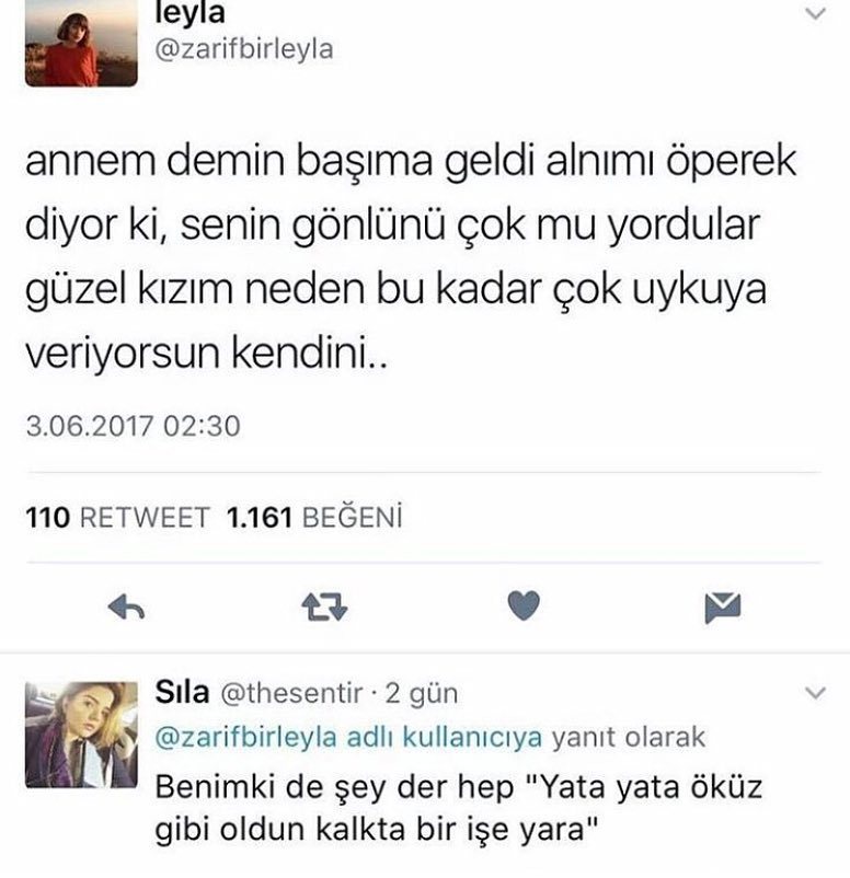 eyla
@zarifbirleyla
annem...