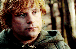  “Samwise the Brave.” 