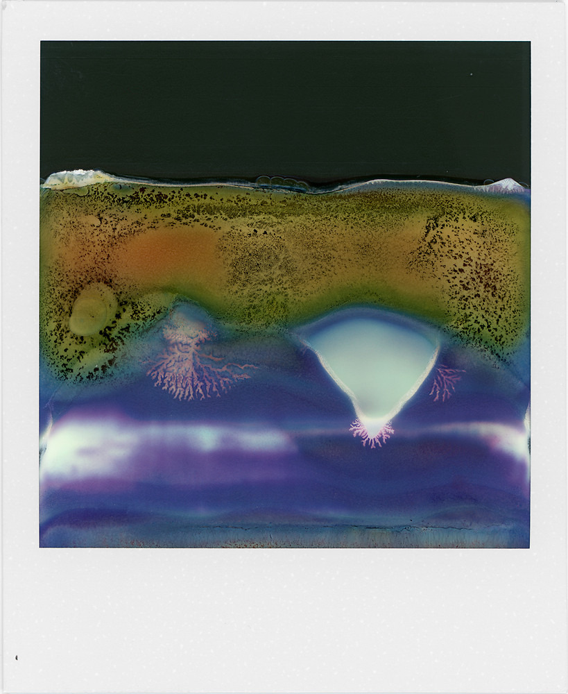 pikeys:  William Miller - Ruined Polaroids (2011) &ldquo;These pictures are taken