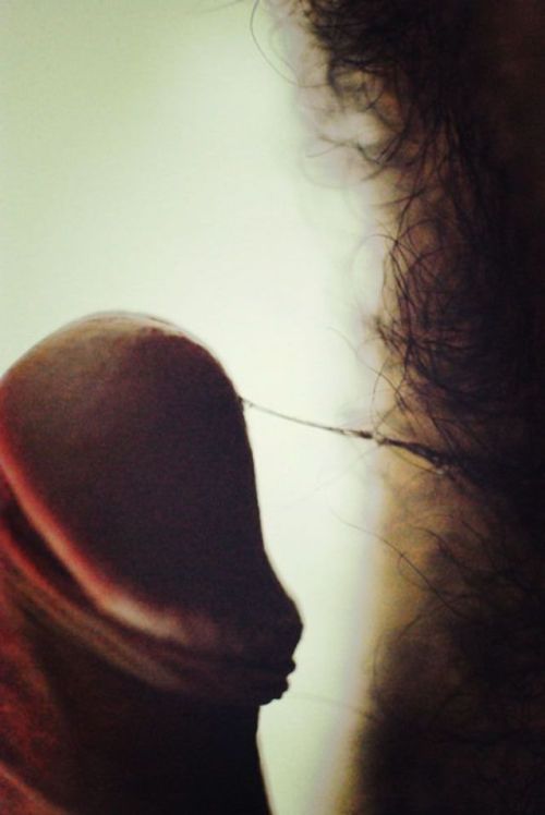 Beardburnme