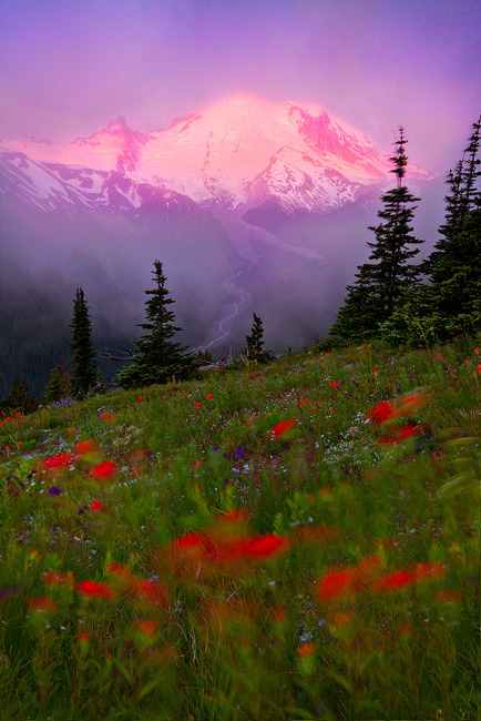 foxmouth:  A Touch of Fall, 2014 | by Kevin Pieper