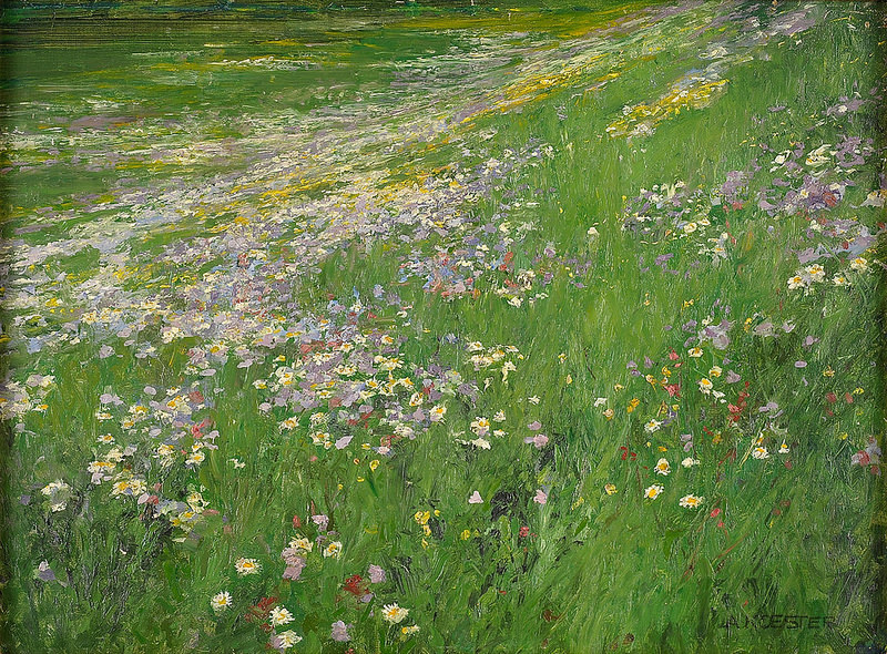 Alexander Koester - The Flowering Meadow