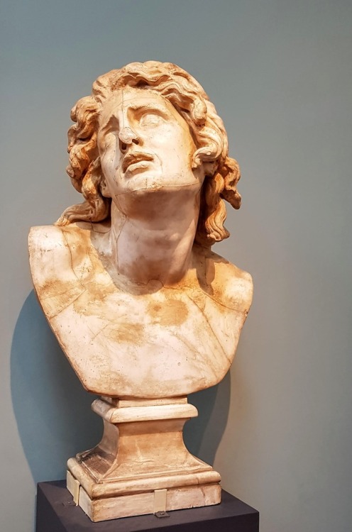 armafeminamque:plaster copy of a bust made in the 1st-2nd c. CE, emulating Hellenistic style from th