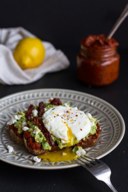 do-not-touch-my-food:  Harissa, Smashed Avocado