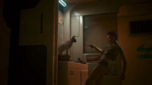 Cat Concert (Private Performance)