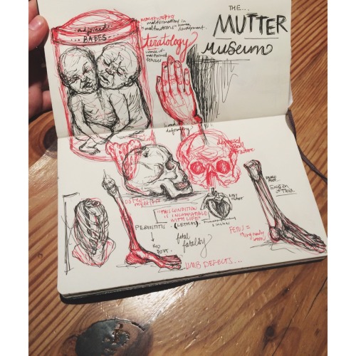 sketches from the mutter museum of medical oddities