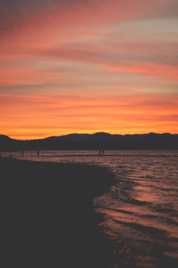 deeplovephotography:  flickr | facebook | society6 