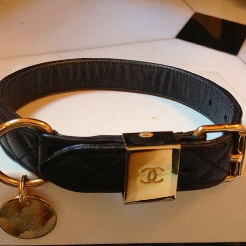 chanel dog collar