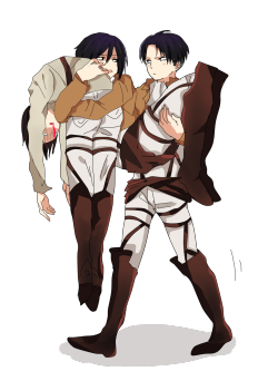 shingekinokyojins:  フンッ