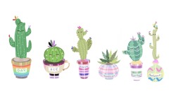 shoujesus:  Decided to revise my LGBT cacti!