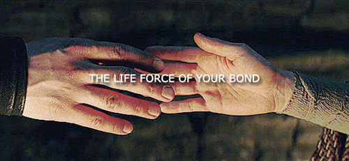 A Power Like Life Itself. Unseen For Generations.