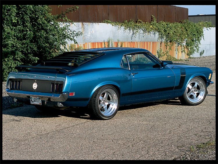 Ford Mustangs
