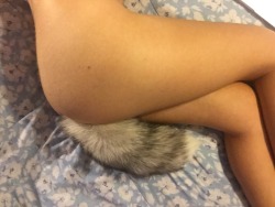 Chantesface: Finally Got My Fox Tail In, Big Thanks To @Thespankacademy 😍😍