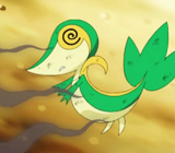 pokemoned:SnivyRequested by: Quilaava