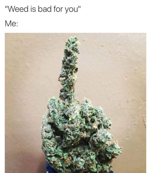 @marijuana by weedhumor http://ift.tt/24JwP4w