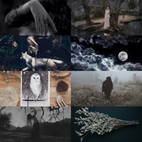 wingedwolves:inspiration for witcheswitches of the forest and the night - they change into wolves du