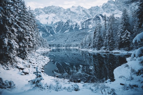 bokehm0n:Winter is back in the Alps.