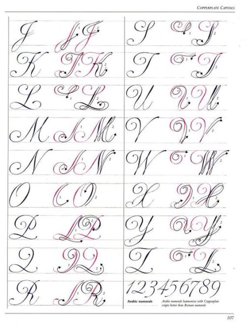 The Art Of Calligraphy