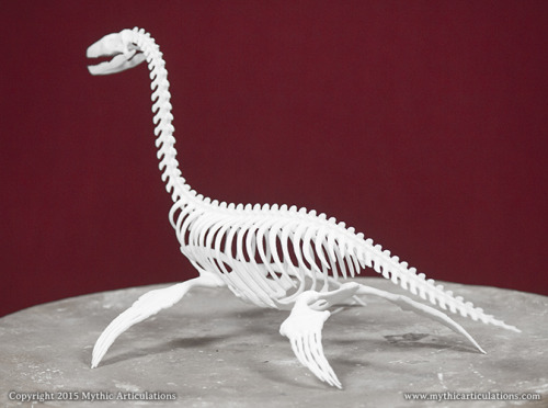 It took far longer to get around to this than it should have, but the Loch Ness Monster skeleton is 