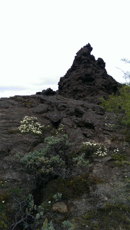 ifollowmyfeets: Lovin’ the lava life. Dimmuborgir, Iceland.  June 29, 2015.