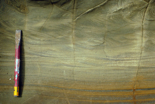 happy-geology:砂岩層中の美しい堆積構造　堆積当時に砂を運んだ海底の水流の変化と向きを記録する　鮮新世　柏崎市　#地層 #地質 #地学 #新潟大Transition from parall