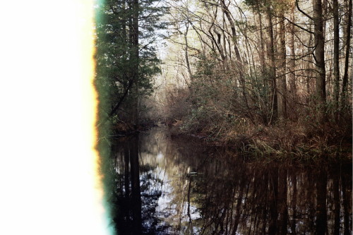 NO PIPELINE IN THE PINELANDS | | Canonet 28 - Kodak ColorPlus 200