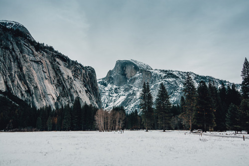 jasonincalifornia: Yosemite Cabin in Ahwahnee Meadow —  Fun Fact: if you Google &ldq