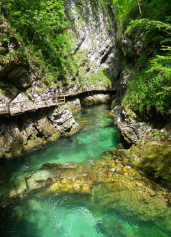 Outdoormagic:  The Vintgar Gorge, Slovenia By Chris@Durham On Flickr. 