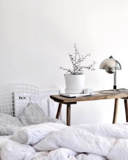 MODERN & CLASSY