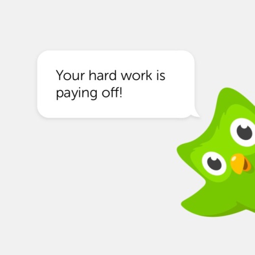 cowherderess: Have some affirmations from the Duolingo owl!